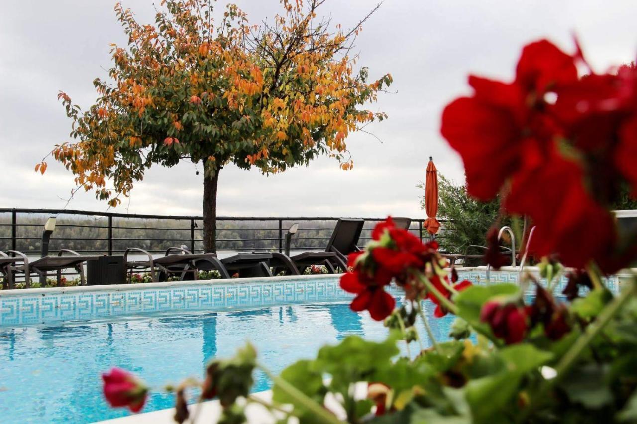 Guest House Panorama Aqualux With Free Parking Novi Sad Luaran gambar